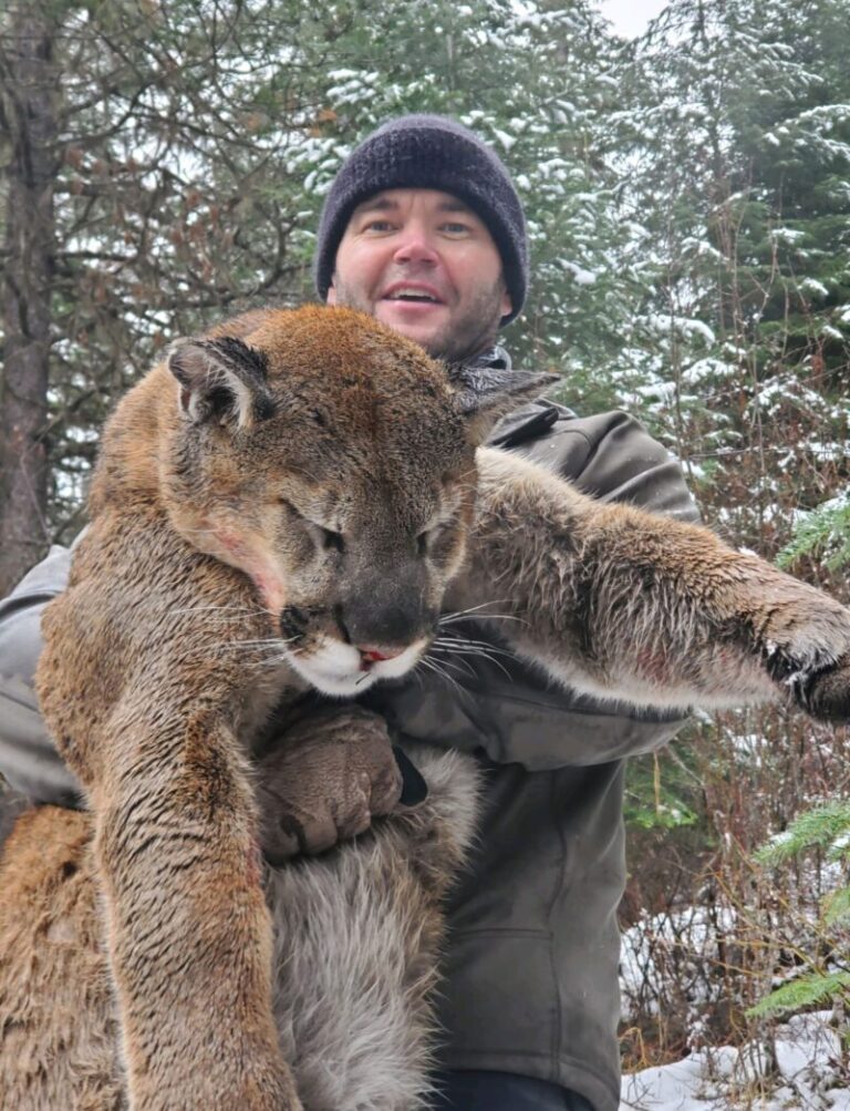 Idaho mountain lion hunt