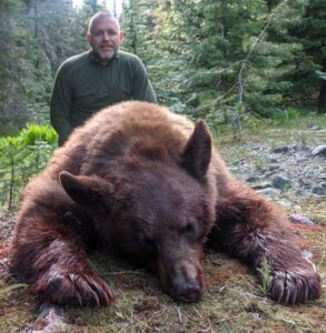 Idaho color phase bear hunt
