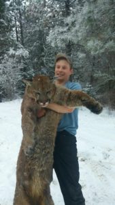 Idaho mountain lion hunting with hounds