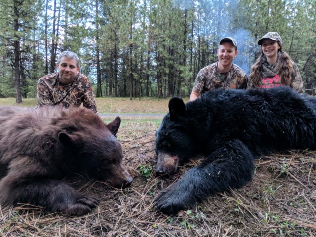 Idaho black bear bait hunt