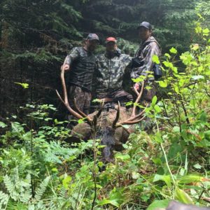 Idaho Archery Elk Hunt