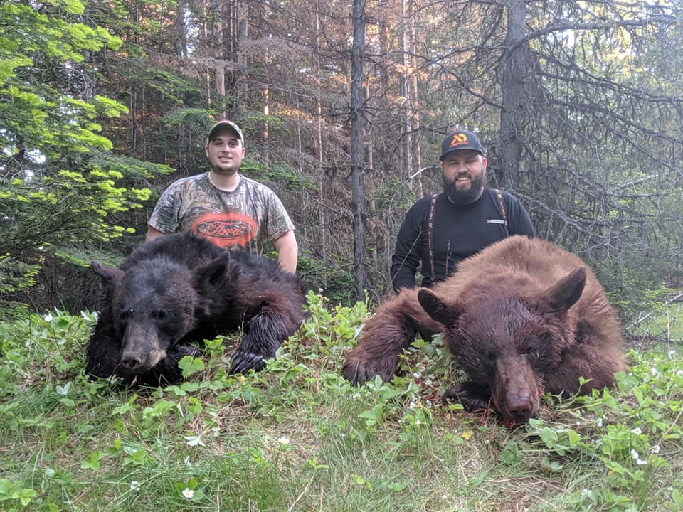 Idaho Bear Hunting Double