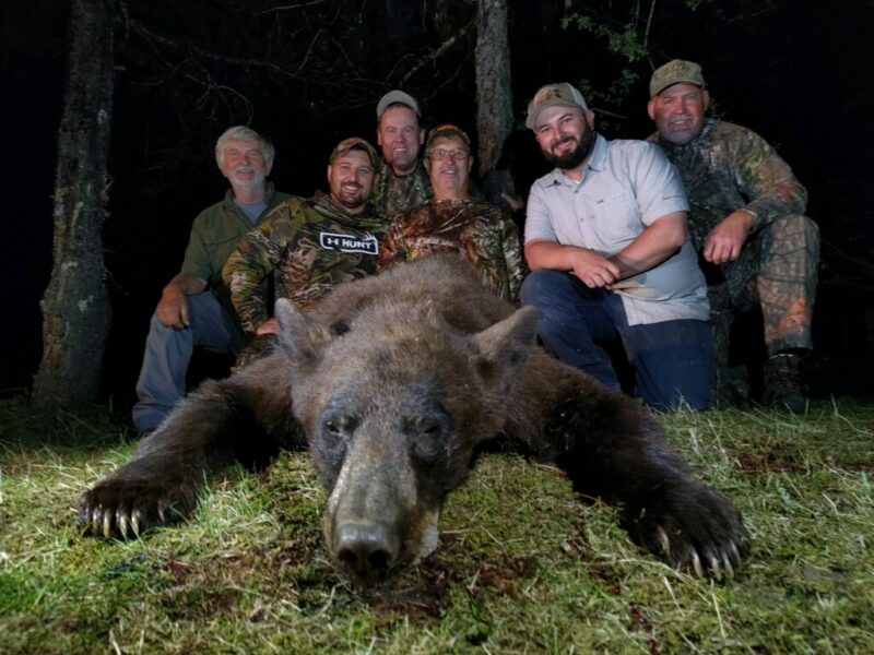 Idaho Black Bear Hunts