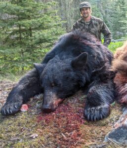 Idaho black bear hunt