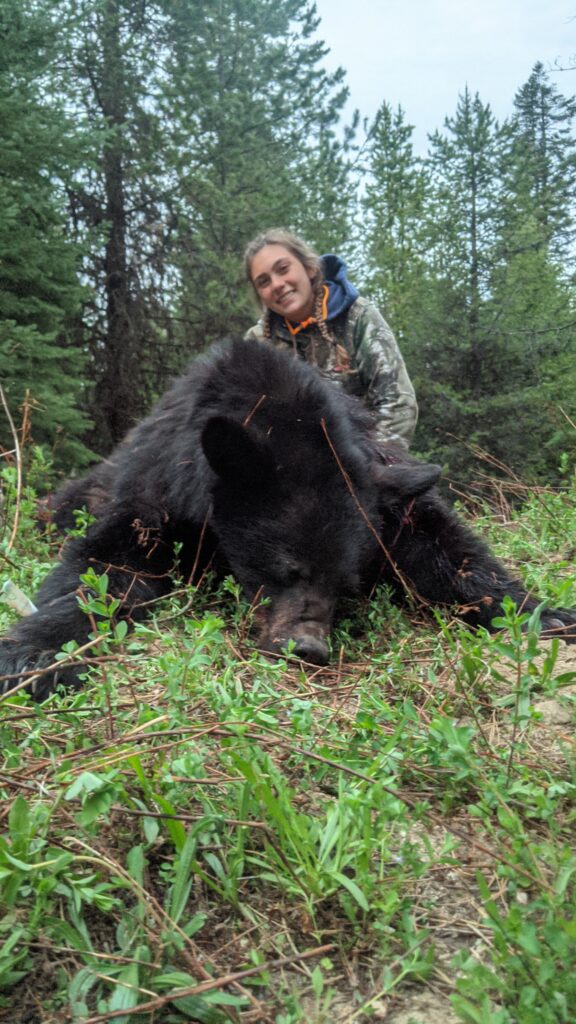 Idaho Black Bear