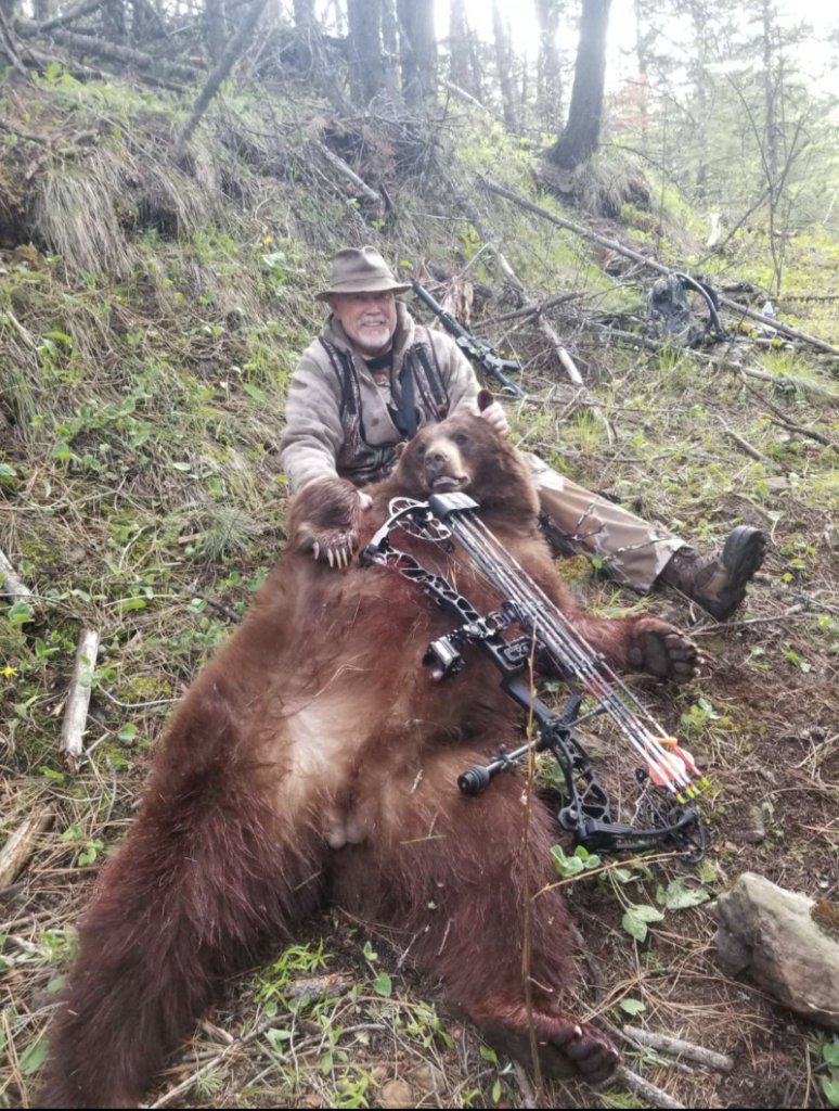 Trophy color phase bear in idaho