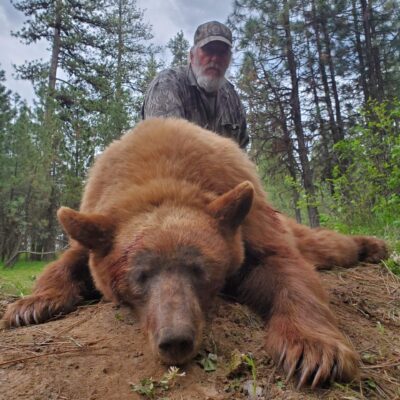 Idaho Black Bear Hunts with High success rate on color phase bears ...