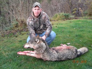 Idaho Wolf Hunts