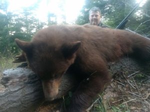 Spring bear hunt Idaho