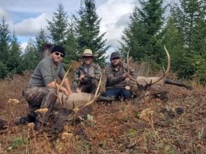 Idaho Elk Hunts