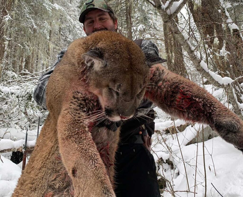 Idaho mountain lion outfitter