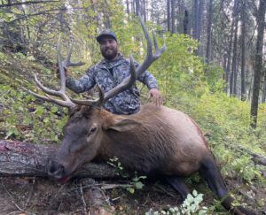 Idaho Elk Hunts