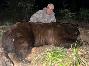 Idaho trophy color phase bear