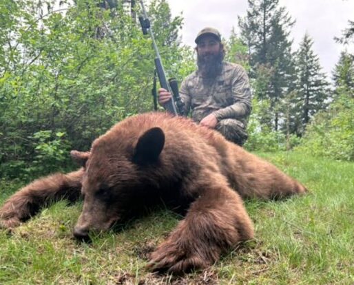 Idaho Color Phase Black Bear Hunt