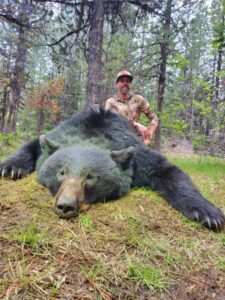 Idaho Black Bear Hunt