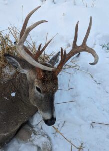 Idaho Deer Hunts