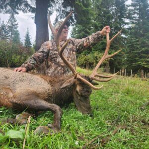 Guaranteed Elk Tag on Private Ranch