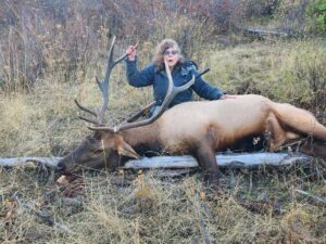 Idaho Elk Hunts Photo